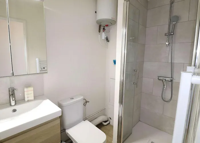 아파트 2 Pieces Renove Proche Avec Parking Prive - Fr-1-307-292 르그로뒤후아